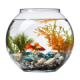Hồ cá cảnh