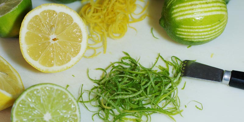 cách trị bọ chét chó