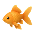 Thú cưng khác