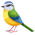 Khác