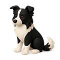 Chó