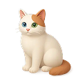 Mèo